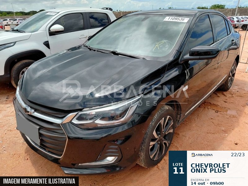 Lote 11