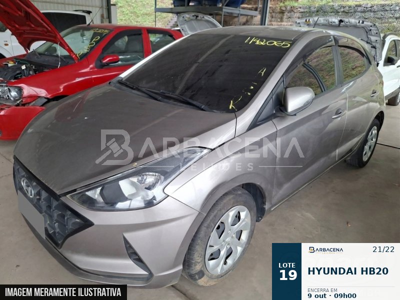Lote 19