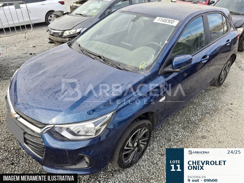 Lote 11