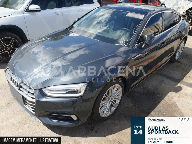 Lote 14