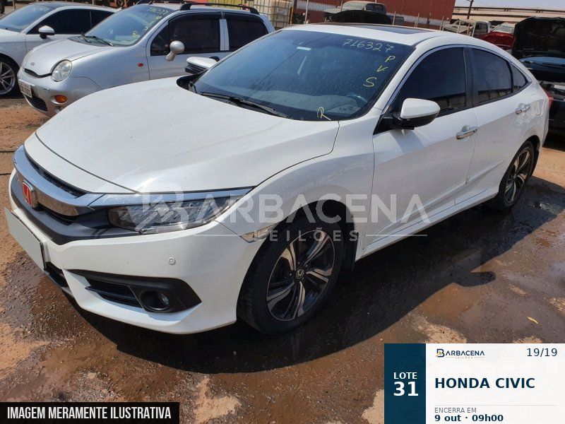 Lote 31