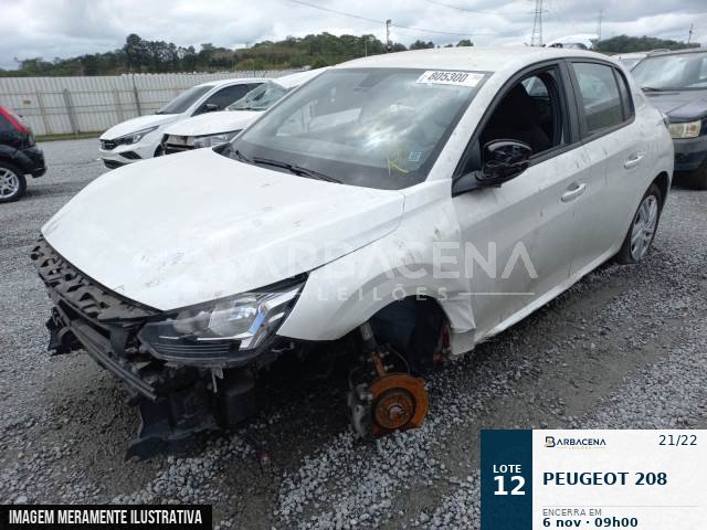 Lote 12