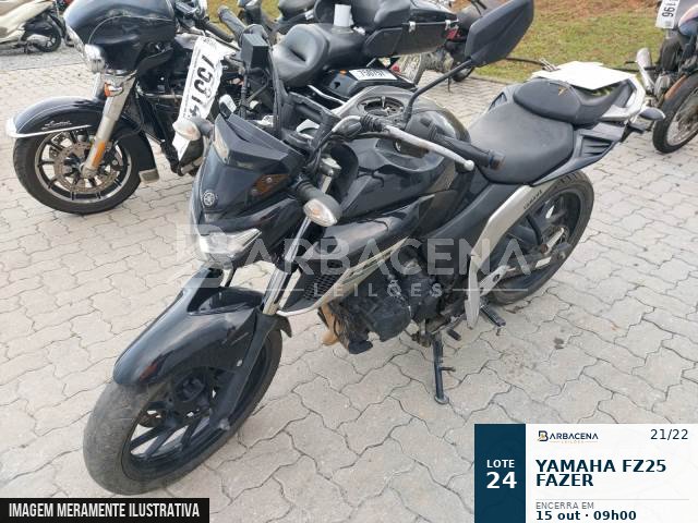 Lote 24