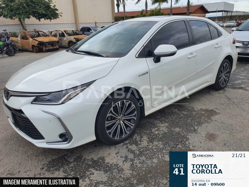 Lote 41