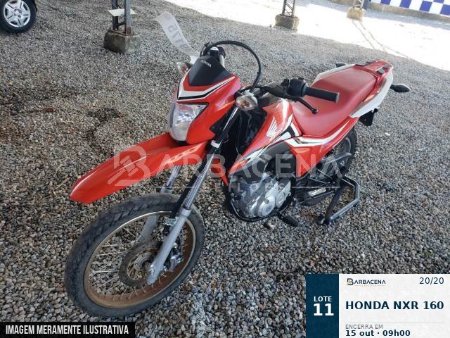 Lote 11